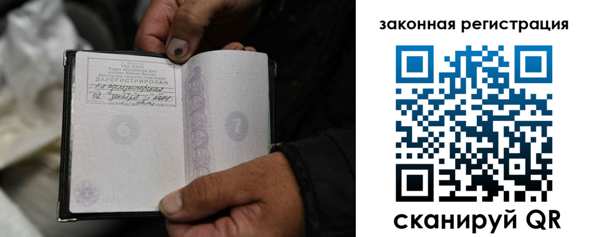 прописка в Коле